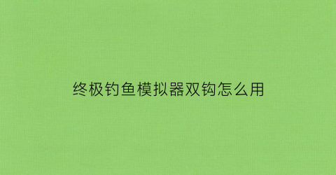 终极钓鱼模拟器双钩怎么用(终极钓鱼模拟器鱼钩选择)