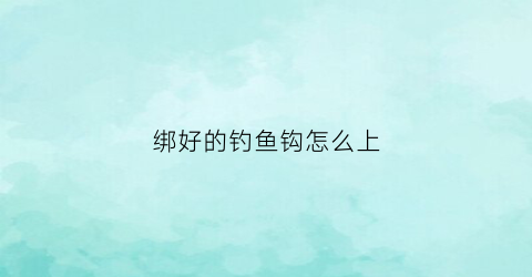 绑好的钓鱼钩怎么上(绑好的钓鱼钩怎么上鱼)