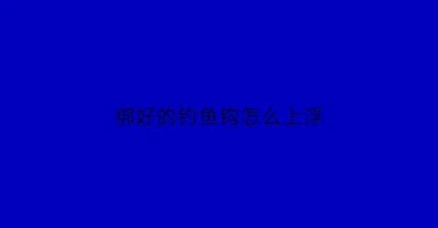 绑好的钓鱼钩怎么上浮(绑好鱼钩怎么放)