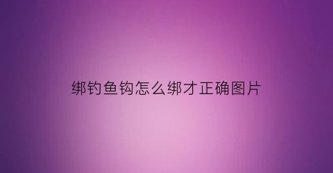 绑钓鱼钩怎么绑才正确图片(绑钓鱼钩怎么绑才正确图片)