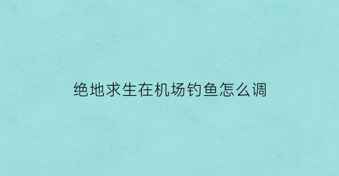 绝地求生在机场钓鱼怎么调(绝地求生飞机点位)