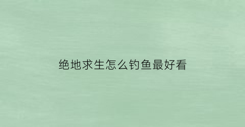 绝地求生怎么钓鱼最好看