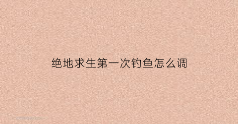 绝地求生第一次钓鱼怎么调(绝地求生dip怎么调)