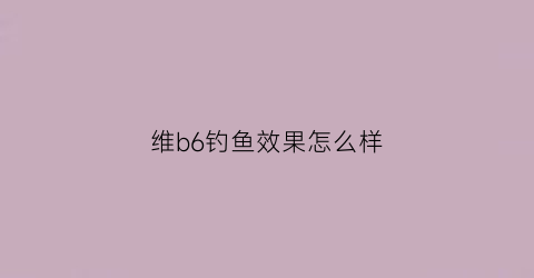 维b6钓鱼效果怎么样