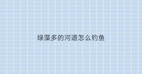 绿藻多的河道怎么钓鱼