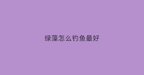 绿藻怎么钓鱼最好(绿藻用什么鱼)