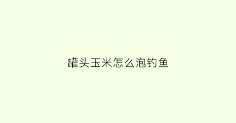 罐头玉米怎么泡钓鱼(玉米罐头钓鲤鱼怎么样)