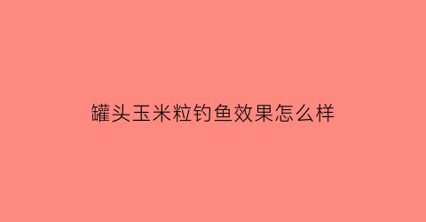 罐头玉米粒钓鱼效果怎么样(罐头玉米钓鱼效果好吗)