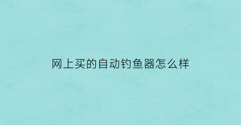 网上买的自动钓鱼器怎么样