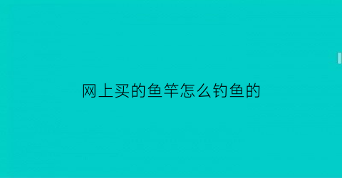 网上买的鱼竿怎么钓鱼的(网上买鱼杆)