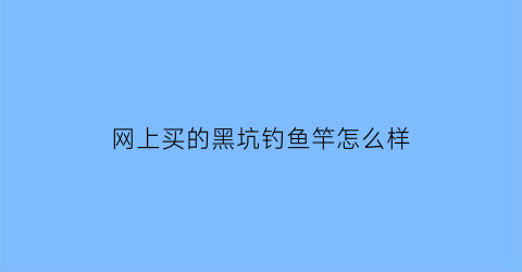 网上买的黑坑钓鱼竿怎么样