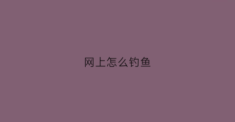 网上怎么钓鱼(什么叫网上钓鱼)