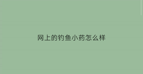 网上的钓鱼小药怎么样(网上的诱鱼小药是真的吗)