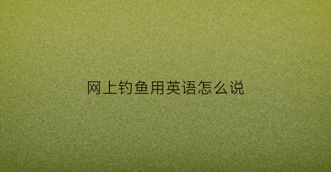 网上钓鱼用英语怎么说(钓鱼网站的英语)