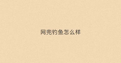 网兜钓鱼怎么样(网兜钓鱼怎么样好钓吗)