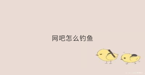 网吧怎么钓鱼(网吧里怎么玩)