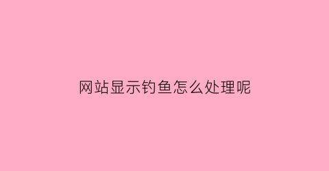 “网站显示钓鱼怎么处理呢(网页显示钓鱼网站)