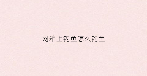 网箱上钓鱼怎么钓鱼(网箱边钓鲤鱼技巧)