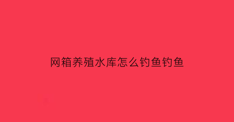 网箱养殖水库怎么钓鱼钓鱼