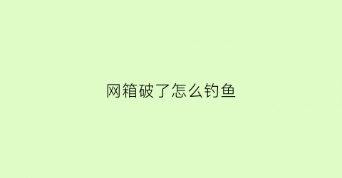 网箱破了怎么钓鱼