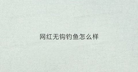 网红无钩钓鱼怎么样(无钩钓鱼神器)
