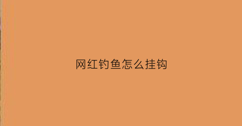 网红钓鱼怎么挂钩(网红钓鱼怎么挂钩图解)