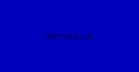 “网红钓鱼怎么样(网红钓鱼)