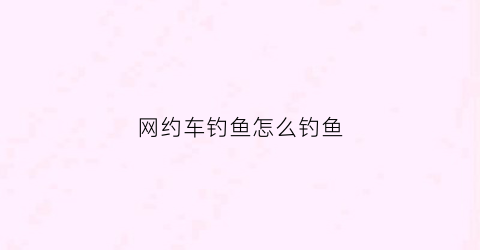 网约车钓鱼怎么钓鱼(网约车钓鱼执法怎么办)