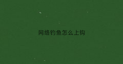 网络钓鱼怎么上钩(如何在网络上钓鱼)
