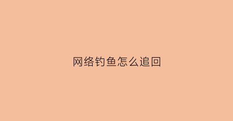 网络钓鱼怎么追回(网络钓鱼怎么办)