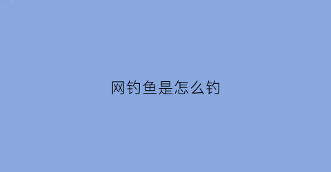 网钓鱼是怎么钓