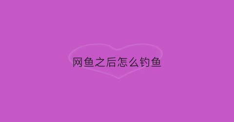 网鱼之后怎么钓鱼(网鱼之后还可以钓鱼吗)