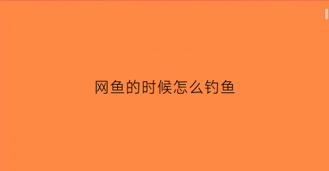 网鱼的时候怎么钓鱼(网鱼有什么技巧)