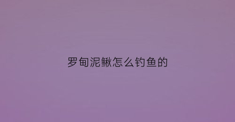 罗甸泥鳅怎么钓鱼的