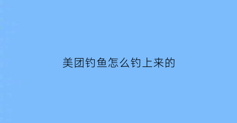 美团钓鱼怎么钓上来的