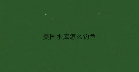 美国水库怎么钓鱼(美国水库怎么钓鱼视频)