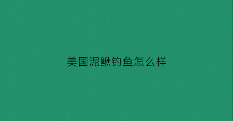美国泥鳅钓鱼怎么样