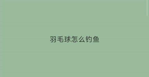 羽毛球怎么钓鱼(羽毛球怎么勾起来)