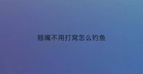 翘嘴不用打窝怎么钓鱼