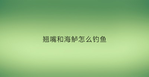 翘嘴和海鲈怎么钓鱼(翘嘴与鲈鱼)