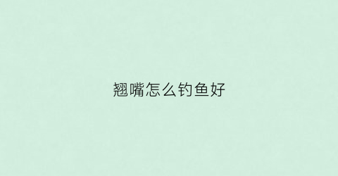 翘嘴怎么钓鱼好