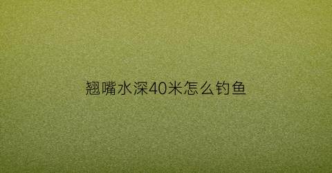 翘嘴水深40米怎么钓鱼(钓翘嘴的水位应该钓多深)