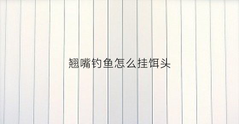 翘嘴钓鱼怎么挂饵头