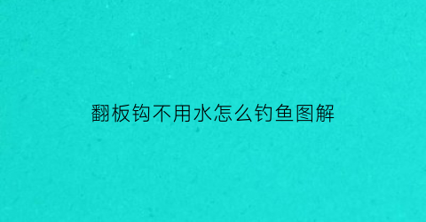 “翻板钩不用水怎么钓鱼图解(翻板钩不用浮漂吗)