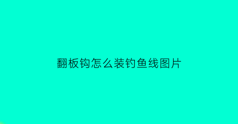 “翻板钩怎么装钓鱼线图片(翻板钩正确安装钓鱼视频)