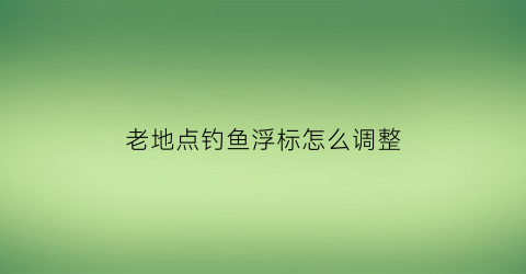 “老地点钓鱼浮标怎么调整(老地点钓鱼浮标怎么调整的)