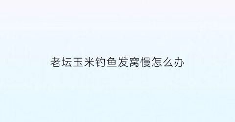老坛玉米钓鱼发窝慢怎么办(老坛玉米打窝新鲜玉米钓)