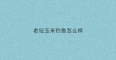 老坛玉米钓鱼怎么样(老坛玉米钓鱼怎么样好用吗)