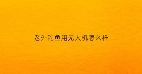 老外钓鱼用无人机怎么样(外国专业钓鱼视频)