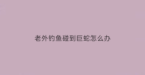 “老外钓鱼碰到巨蛇怎么办(外国钓大鱼)